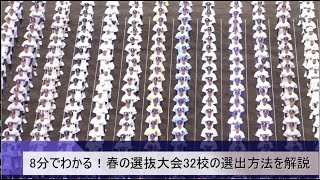 8分で全て分かる。春の選抜高校野球大会出場校、32校の選出方法（選考基準） を徹底解説