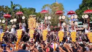 Trissur Pooram 2023 | തൃശൂർ പൂരം ഘടകപൂരങ്ങൾ എത്തിത്തുടങ്ങി