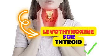 Levothyroxine Sodium Unveiled: Your Guide to Thyroid Hormone Replacement