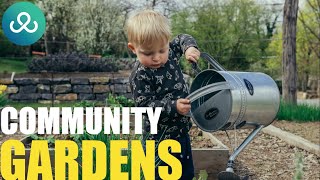 Volunteering in Community Gardens: Grow Together Locally | The Joy of Cultivating Fresh Produce