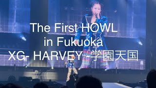 【LIVE】250308 - XG - HARVEY - 学園天国cover（XG 1st WORLD TOUR’The first HOWL’ in Fukuoka 2025）