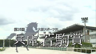 第１６回 兵庫若駒賞２歳登録馬［2023.8.31 園田第11R/1400m ダート］