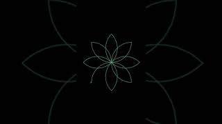 11. Python - Turtle - Random flower #3