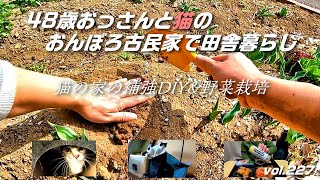 庭の菜園で野菜栽培開始！【フカセンvlog227】もう誰も居ない実家の古民家で猫と一人田舎暮らし。