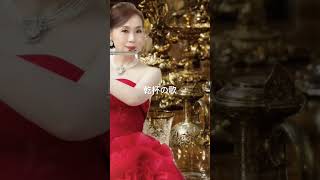 「乾杯の歌」椿姫 FANTAISIE SUR LA TRAVIATA,OP.18 椿姫の主題による幻想曲 VERDI / By MISAO FLUTE #TRAVIATA