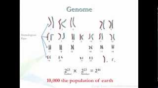 Evolutionary Algorithms الخوارزميات التطورية