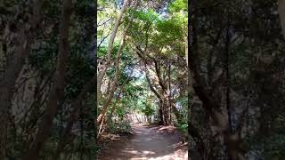 【伊勢市✨御塩殿神社⛩神宮の祭典で使う堅塩を作る場所🙏✨遠隔参拝💛】