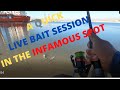 Live Bait Session in the Infamous spot | Abu Dhabi Fishing | Sustainable Angling