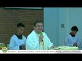 christmas mass during the day december 25 2024 8 00 am