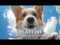 playlist electromagneticwaves 넌 나의 여기저기 가득해 💞ㅣ백예린 검정치마 볼빨간사춘기 딘 크러쉬 태연 akmu 비비 죠지 등