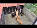 നമ്മുടെ എല്ലാ ഡോഗ്സിനെയും ഒന്ന് കണ്ടാലോ|All Dogs in Our Kennel