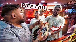 MOSTREI PARA MEUS AMIGOS UM PICA PAU QUE ENCONTREI MACHUCADO NA FAZENDA