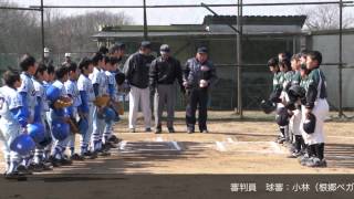 20130302春季大会決勝王子台シーガルスVS間野台ジャイアンツ