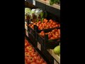 the hidden truth about organic food shorts