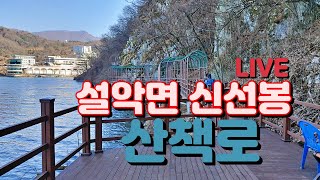 신선이 놀던 그자리  신선봉 산책로 탐방 LIVE