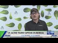 New AppHarvest farm opens in Berea