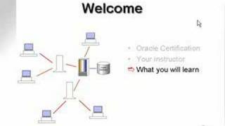 learning oracle application developer 1