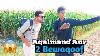 1 Aqalmand Aur 2 Bewaqoof 😂 | New Story | Short Film | Wait For End 😄 | Kwl Films