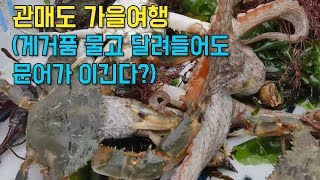 '가고싶은섬' 미숙씨와 관매도 이장님의 바닷일 [섬섬썸]