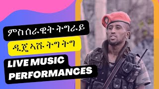 ዲጄ ኣሹ ትግ ትግ ምስ ሰራዊት ትግራይ Live Music Performances  New Tigrigna Music DJ Ashu  (OFFICIAL MUSIC VIDEO)