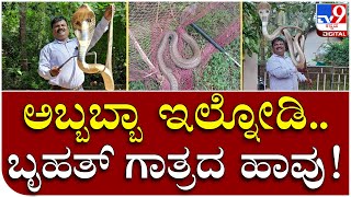 Snake Rescue: ಬಲೆಗೆ ಸಿಲುಕಿ ಒದ್ದಾಡುತ್ತಿದ್ದ 6 ಅಡಿ ಉದ್ದದ ನಾಗರಹಾವು ರಕ್ಷಣೆ | Tv9 Kannada