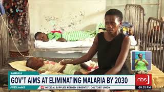 Youth in the fight against Malaria