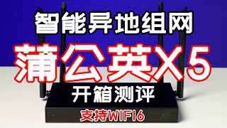 智能异地组网、支持WIFI6，蒲公英X5开箱测试，看看性能怎么样？