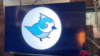 Titmouse Inc/Hasbro Studios (2017)