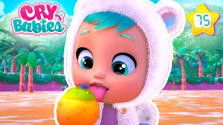 Le Fruit qui Change de Saveur 🍎 CRY BABIES Magic Tears 💧 Épisodes Complets | Dessins Animés