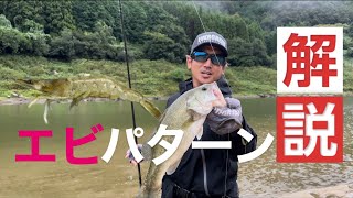 【バス釣り】秋のリザーバー陸っぱりエビパターン実釣解説！！