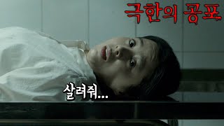 😱심약자 시청 금지😱 강심장도 🩲지릴 준비는 하고, 오늘 밤은 엄마랑 같이 자야 할걸?😂 《미드나잇 호러: 6개의 밤》