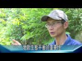 《村民大會》ep539預告：養蜂危機襲捲