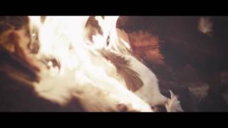 Norma Jean The Close And Discontent