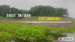 Rakit TN spot sangkali