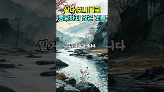 살다 보니 별로 중요하지 않은 것들 4가지   #명언 #좋은글 #지혜