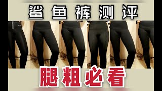 【11条鲨鱼裤】158CM50KG很胖吗？秒变大象腿？网红打底裤如何