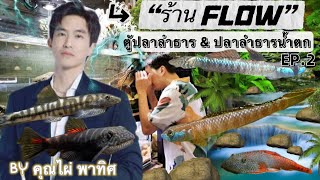 ร้าน Flow ตู้​ลำธาร​ &​ ปลาลำธาร​น้ำตก​ 🐟 Ep.2​