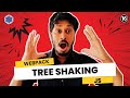 Tree-Shaking with Webpack 5: Removed Unused Code