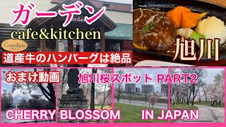 GARDEN(ガーデン) 旭川桜名所2 CHERRY BLOSSOM \u0026HAMBURGER JAPAN