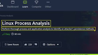 Linux Process Analysis - TryHackMe Walkthrough
