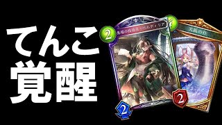 【アンリミ】TNK覚醒で1ターンに50点以上叩き出し狂喜乱舞ｗｗｗｗ学園てんこビショップ【シャドバ/シャドウバース/Shadowverse】