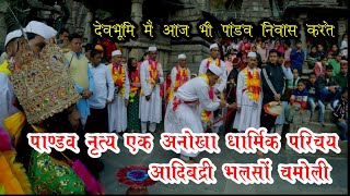 Pandav Leela Adibadri Bhalsoun पांडवों को क्यों करना पड़ा गैंडे का वध #Garhwali Jagar #पाण्डव नृत्य