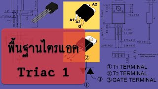 พื้นฐานการซ่อมบอร์ด EP #6.2 ไตรแอค อุปกรณ์อิเลคโทรนิคส์ในกลุ่ม “ไทริสเตอร์”