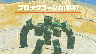 南ハイラル空諸島を守りしブロックゴーレム中等戦【ゼルダの伝説 ティアーズ オブ ザ キングダム】