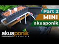 DIY Mini Akuaponik - Growbed Stand, Piping, Siphon dan  Tanaman.