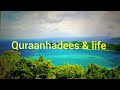 ഹദീസ് വിവരണം അധ്വാനവും സമ്പാദ്യവും sharafudheenislahi quraanhadees islamicscripture