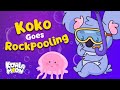 Koko Goes Rock Pooling | Sleep Meditation Story | Koala Moon Bedtime Stories