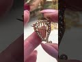 antique australian 18ct yellow gold ‘irish harp’ brooch circa 1910