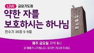 대일교회 │ 금요기도회(2024. 11. 22) │ 약한 자를 보호하시는 하나님