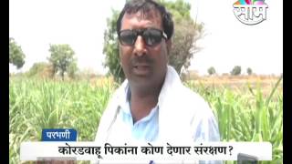 Economic success of sugarcane farming in drought Marathwada